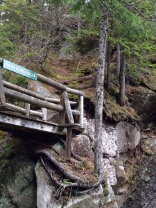 Paradise Falls, NH